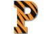 Click here to visit the the Princeton Tigers Website